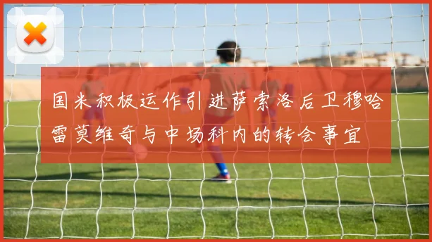 国米积极运作引进萨索洛后卫穆哈雷莫维奇与中场科内的转会事宜